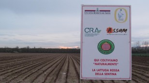 Riserva Naturale Regionale Sentina